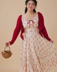 Curve & Plus Red Garnet Corset Dress