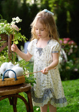 Toddler Girl Peter Rabbit Dollhouse Dress