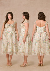 Curve&Plus Butterfly Chronicle Dress