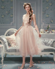 Louis XIV's Rose Dress