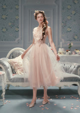 Louis XIV's Rose Dress