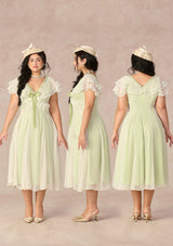 Curve&Plus Spring Outing Dress