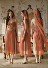 Sahara Rose Corset Dress