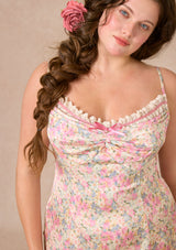 Curve&Plus Rose Mist Path Dress