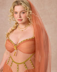 Curve&Plus Sahara Rose Corset Dress