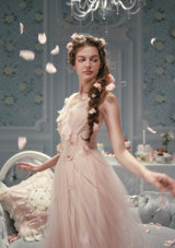 Louis XIV's Rose Dress