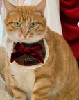 Evil Cat Pet Bib