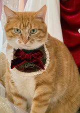 Evil Cat Pet Bib