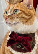 Evil Cat Pet Bib