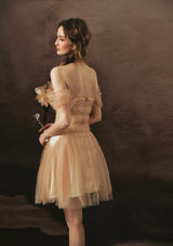 Golden Crown Dream Corset Dress