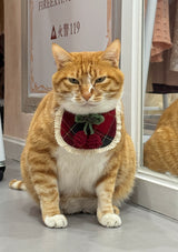 Evil Cat Pet Bib