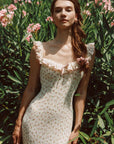 Petite Vase Knit Dress – Blush