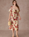 Curve&Plus Rosevale Dress B