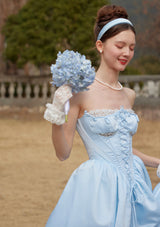 Cinderella Dress Ⅱ