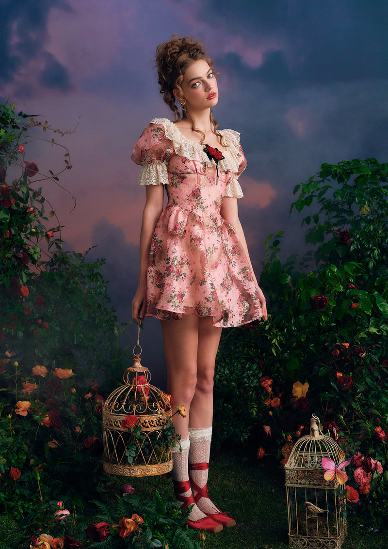 Twilight Rose Dress