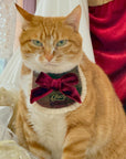 Evil Cat Pet Bib