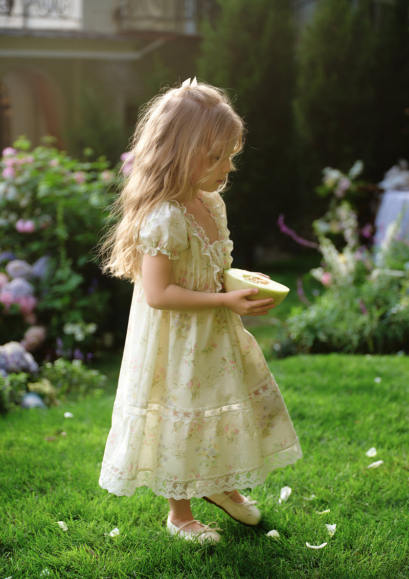 Toddler Girl Garden Tea Party Corset Dress 120