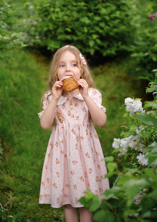 Toddler Girl Ballet Mouse Party Dress
