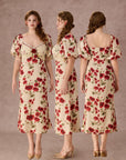 Curve&Plus Rosevale Dress B