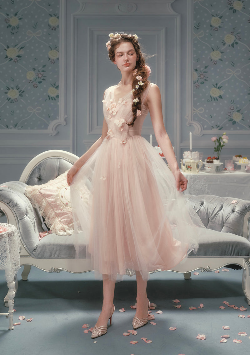 Louis XIV's Rose Dress Louis XIV's Rose Dress