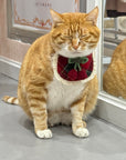 Evil Cat Pet Bib