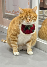Evil Cat Pet Bib