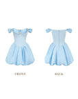 Blue Bud Corset Dress