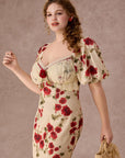 Curve&Plus Rosevale Dress B