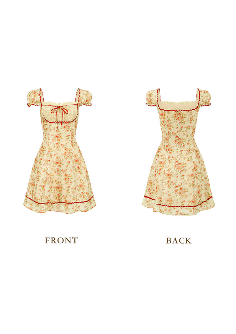 rosebery mini dress Crimson Berry Rose Dress
