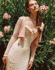 Petite Vase Knit Dress – Blush