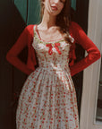 Wildberry Picnic Dress