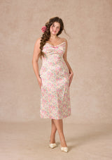 Curve&Plus Rose Mist Path Dress