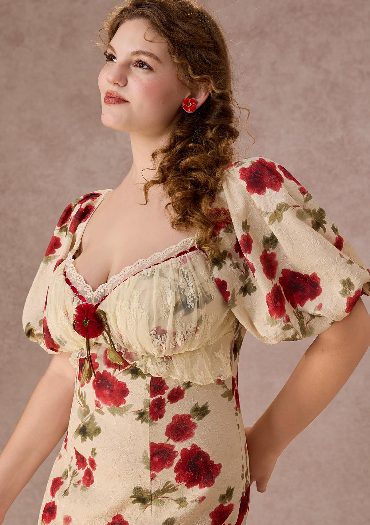 Curve&amp;Plus Rosevale Dress B