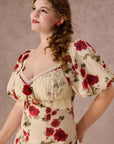 Curve&Plus Rosevale Dress B
