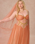Curve&Plus Sahara Rose Corset Dress