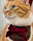 Evil Cat Pet Bib