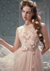 Louis XIV's Rose Dress