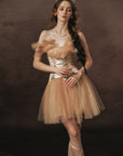Golden Crown Dream Corset Dress