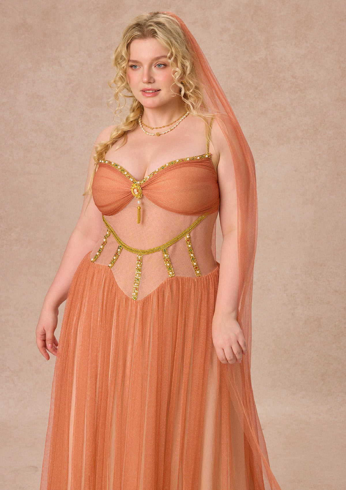 Curve&amp;Plus Sahara Rose Corset Dress