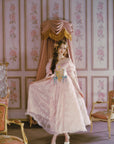 Embroidered Princess Corset Dress