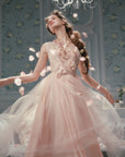 Louis XIV's Rose Dress