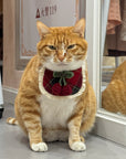 Evil Cat Pet Bib
