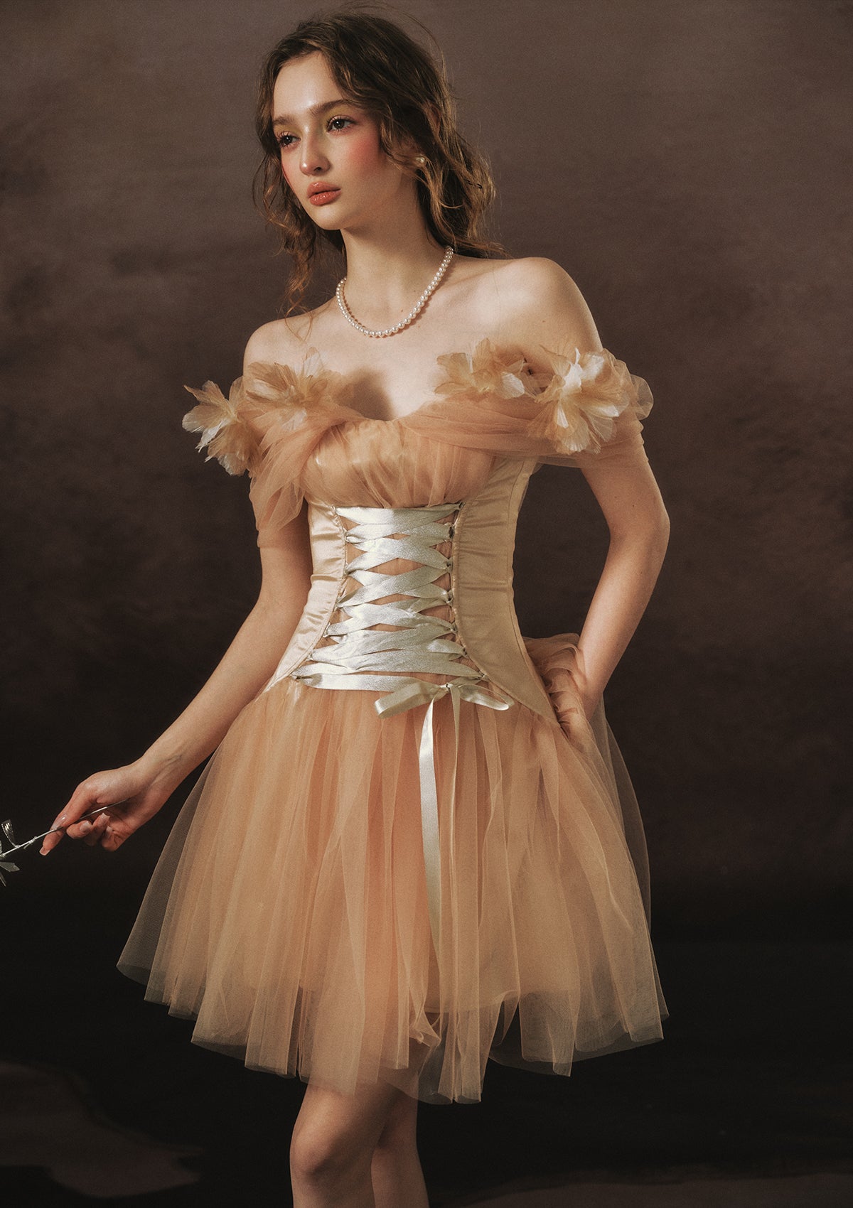 Golden Crown Dream Corset Dress