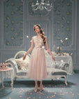 Louis XIV's Rose Dress