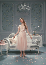 Louis XIV's Rose Dress