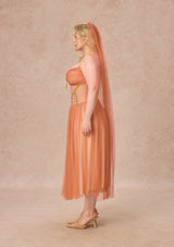 Curve&Plus Sahara Rose Corset Dress