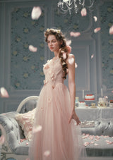 Louis XIV's Rose Dress