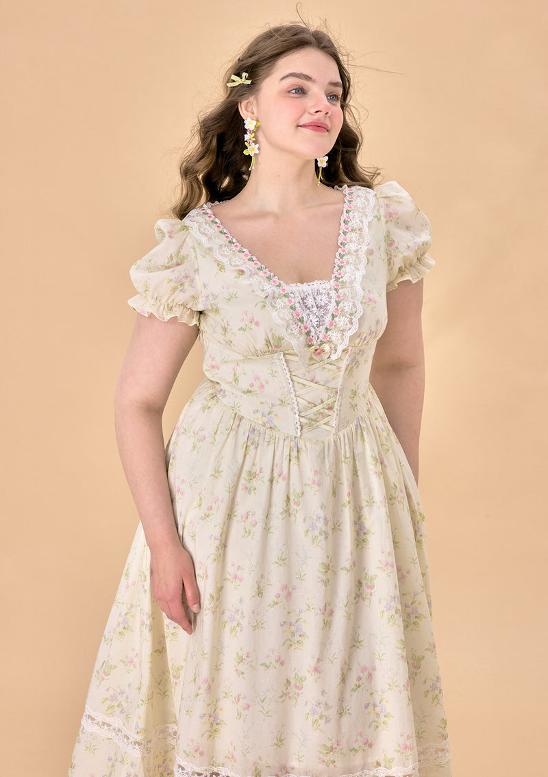 Curve & Plus Garden Tea Party Corset Dress