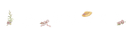 LaceMade 