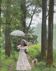 Rose's Smile Corset Dress Ⅱ